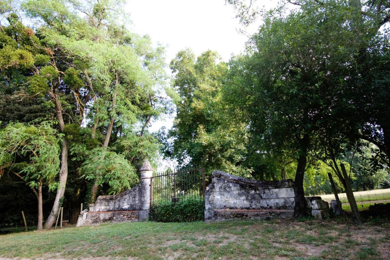 Le Logis Du Pressoir Chambre D'Hotes Bed & Breakfast In Beautiful 18Th Century Estate In The Heart Of The Loire Valley With Heated Pool And Extensive Grounds Bed & Breakfast Les Bois-d'Anjou Ngoại thất bức ảnh