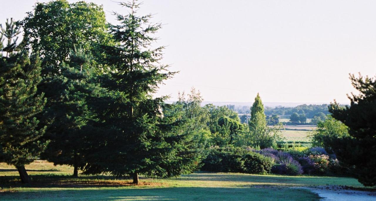 Le Logis Du Pressoir Chambre D'Hotes Bed & Breakfast In Beautiful 18Th Century Estate In The Heart Of The Loire Valley With Heated Pool And Extensive Grounds Bed & Breakfast Les Bois-d'Anjou Ngoại thất bức ảnh